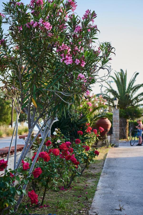 Kalloni Bay Skala Kallonis Exterior photo